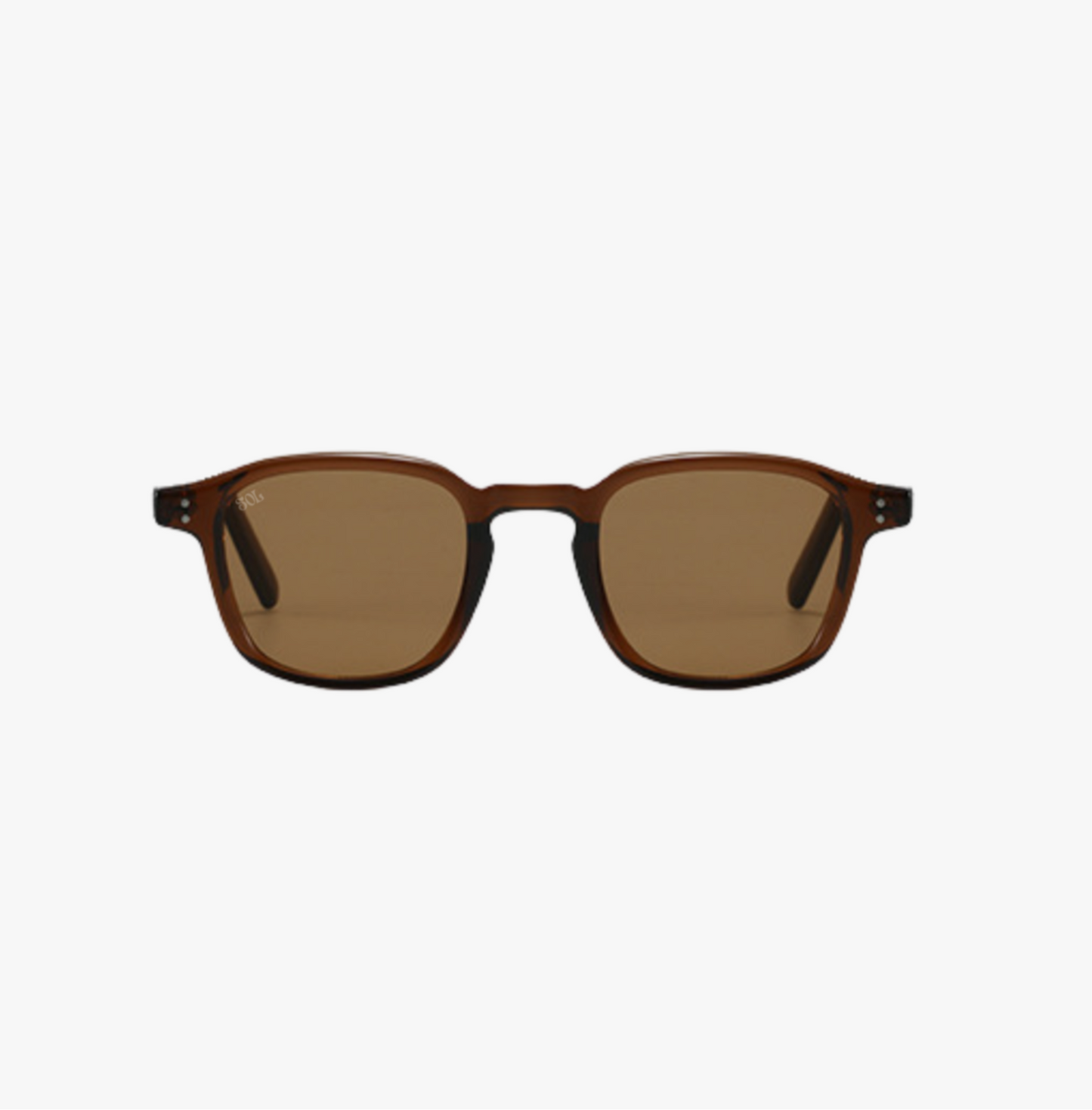 Banks- Brown square shaped sunglasses with brown lenses