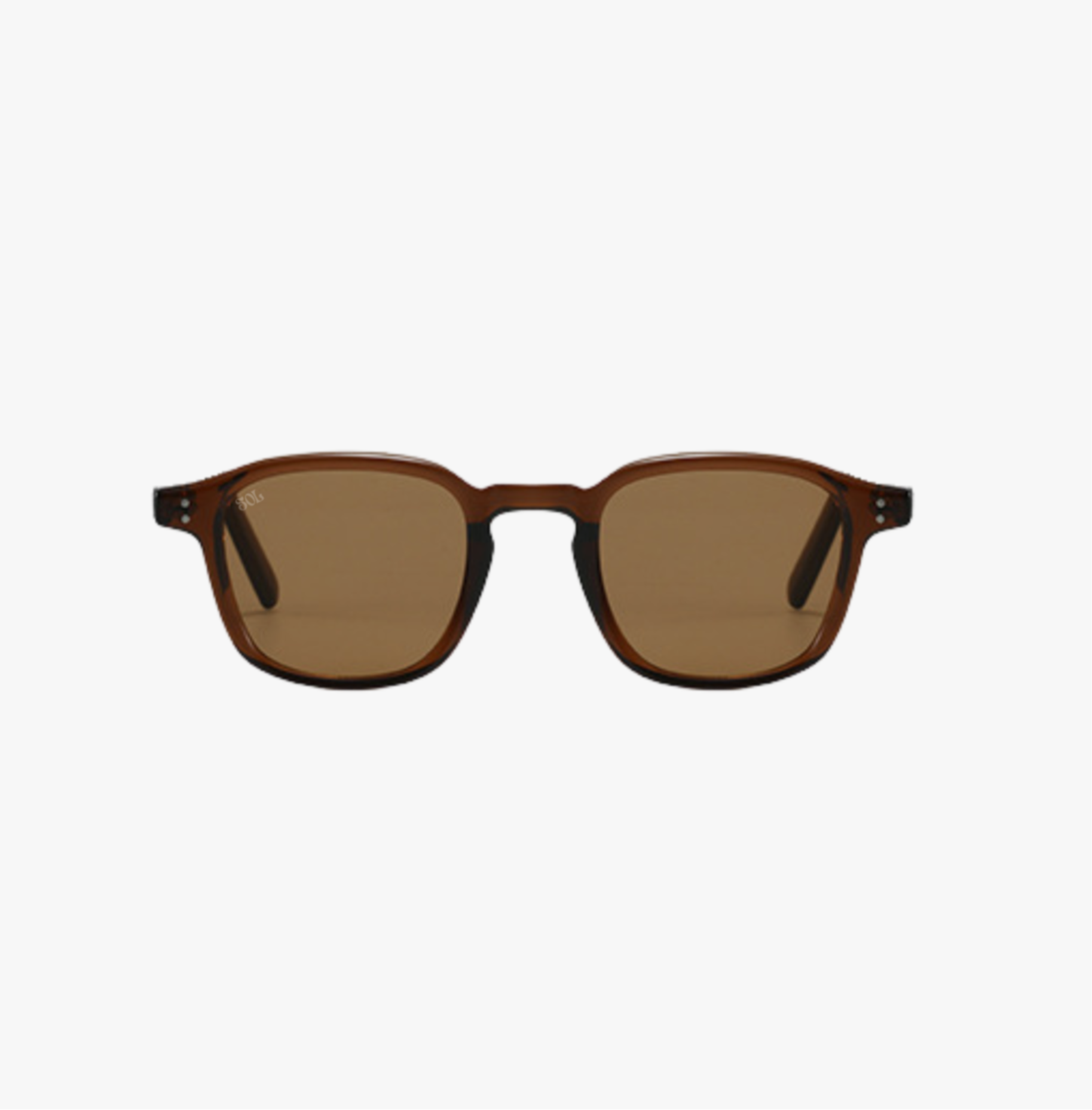 Banks- Brown square shaped sunglasses with brown lenses